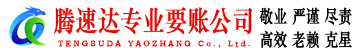 宿豫腾速达清债公司